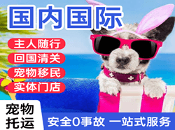 文山砚山空运地址国际宠物托运 【国
